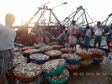 وزارت داخلہ نے ماہی گیری سرگرمیوں کو لاک ڈاؤن کی پابندیوں سے مستثنیٰ کیا