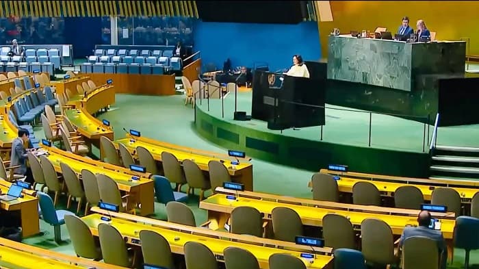 اقوام متحدہ میں فلسطینی ریاست کے قیام کیلئے پیش کی جانی والی قرار داد کی 142 ممالک  کی حمایت
