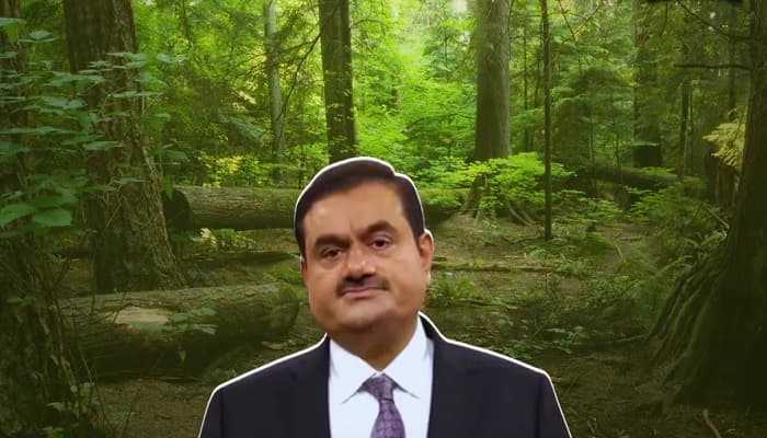 ایک پیڑ ماں کے نام اور پورا جنگل۔۔۔