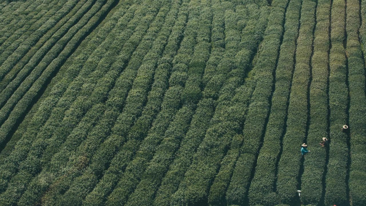 ہندوستان میں عوامی تحریکات کا پس منظر اور پیش منظر