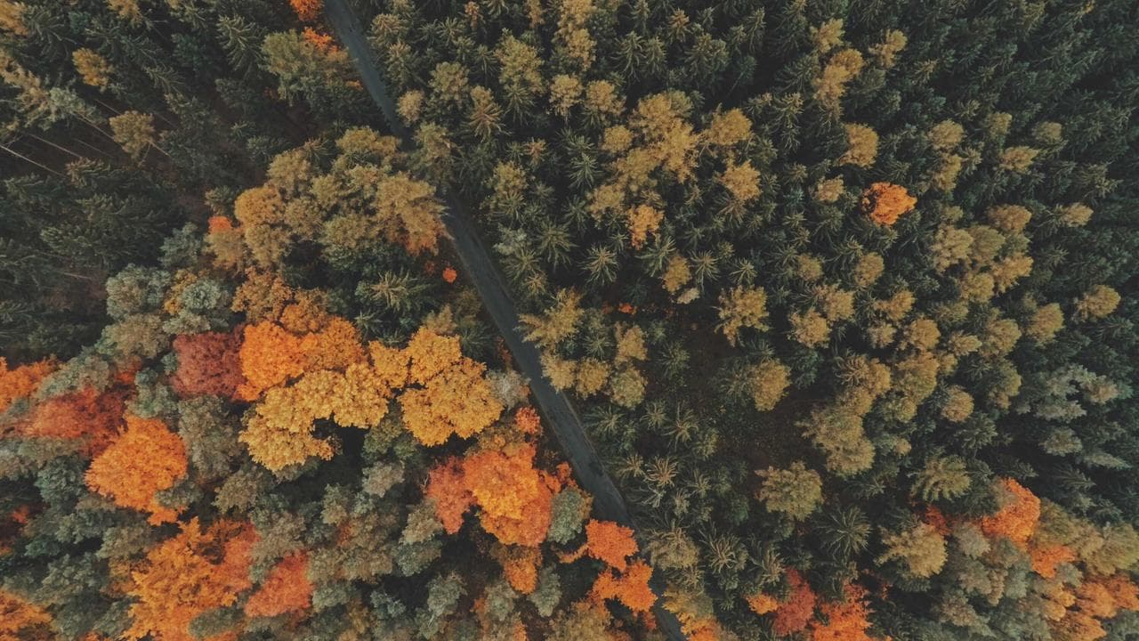 چین سے نکل کرامریکہ و یوروپ پہنچا کورونا وائرس،ہند میں بھی دستک