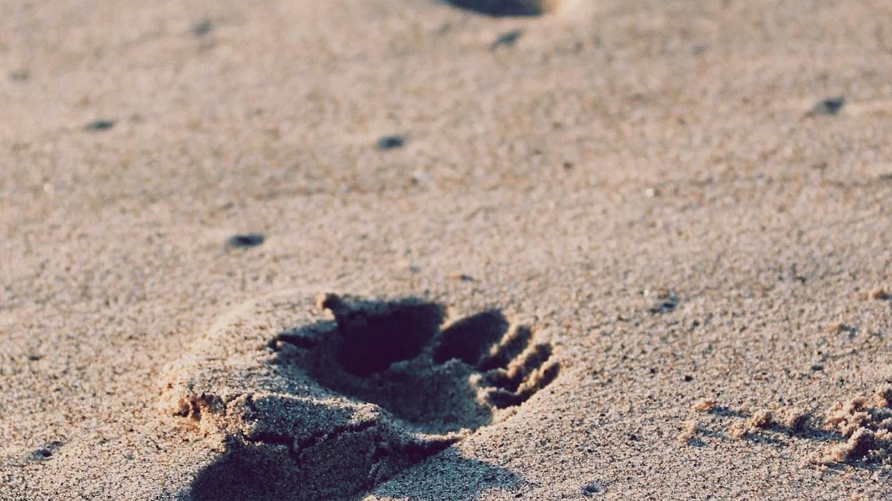 اللہ ،اہل ایمان سے دشمنی کی دردناک سزا دیتا ہے