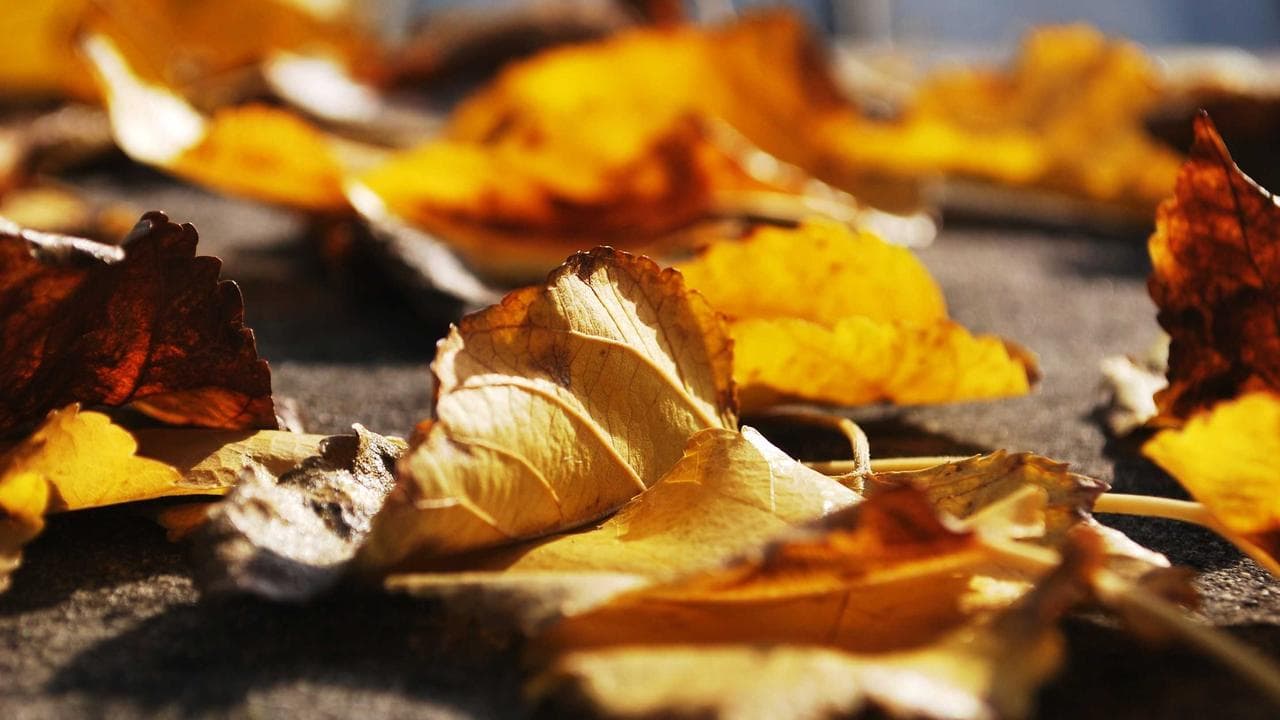 خدا کی ذات پر کامل یقین سے ہی مسائل کا حل ممکن