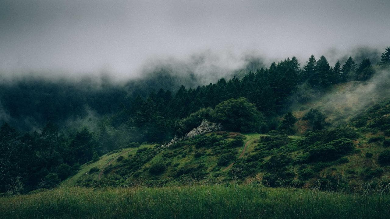 آئندہ شمارہ