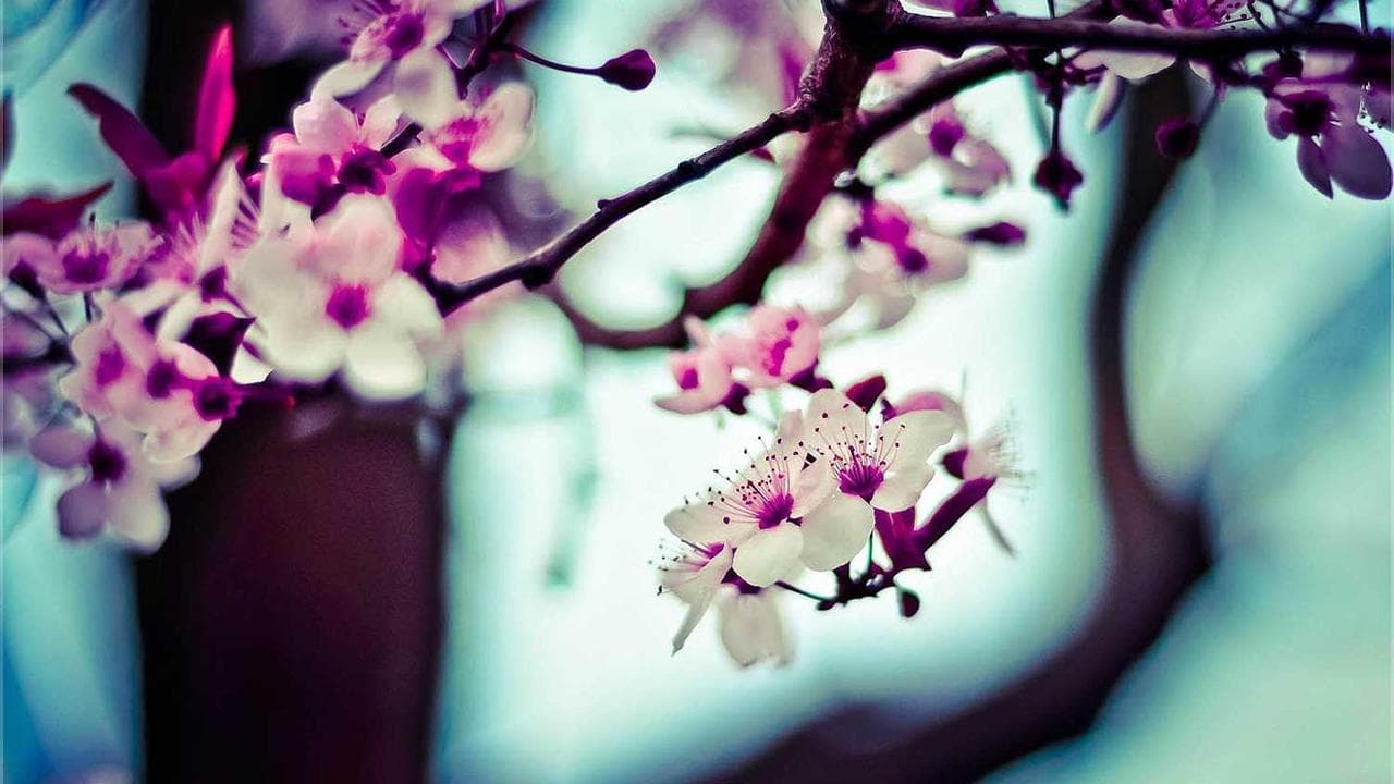 غزہ کے سات سو دنوں کی وحشت : قتلِ عام، مزاحمت اور عالمی ضمیر کا امتحان