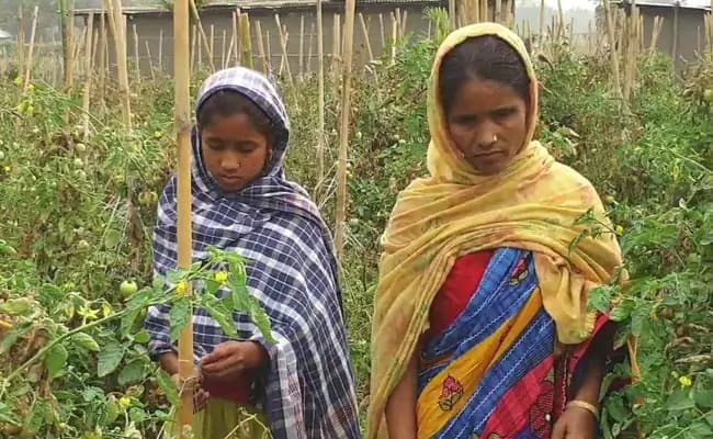 آسام: پندرہ سرکاری دستاویزوں سے بھی شہریت ثابت نہیں ہوئی