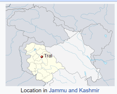 جموں و کشمیر: ترال میں مسلمان پڑوسی کشمیری پنڈت کی آخری رسومات ادا کرنے میں مدد کے لیے آگے آئے