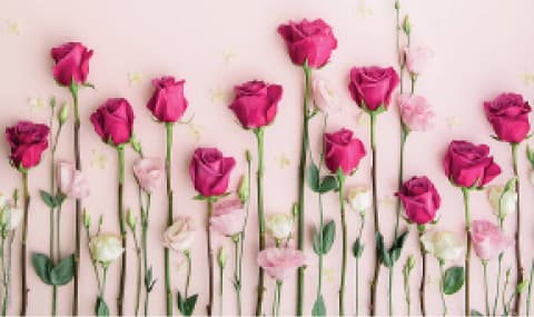 مسلم خواتین کی ذمہ داریاں (سیریز 1-)