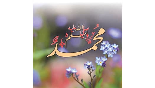 سیرت نبویؐ اور جمالیات، ایک منفرد زاویۂ نظر
